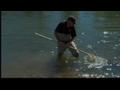 News video: Mud snails invade the Truckee River
